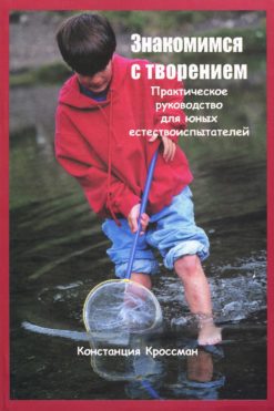 Знакомимся с творением