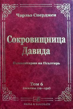 Сокровищница Давида т.6